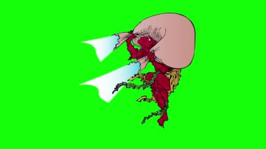 Vektör çizimi. Balkabaklı cadılar bayramı cadısı çizgi filmi