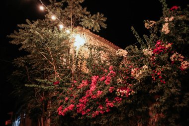 Dağlarda asfalt yolda.