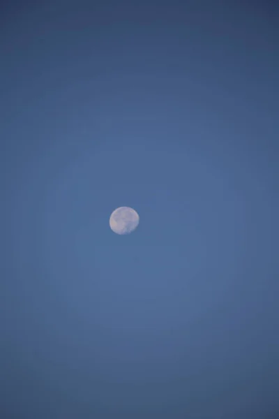 昼間の空の満月 — ストック写真