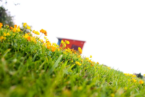 Dağlarda asfalt yolda.