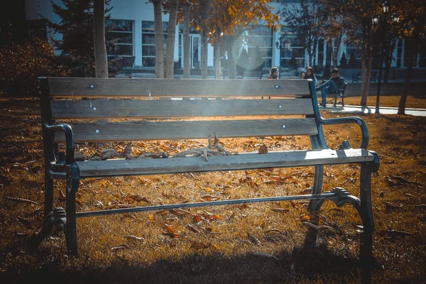 Университетский Парк Сад Вдали Города Осенью — стоковое фото