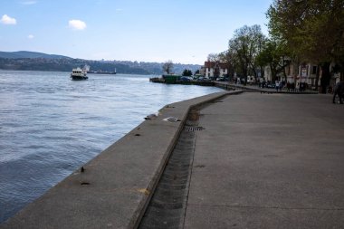 İstanbul Boğazı, gemileri ve martıları