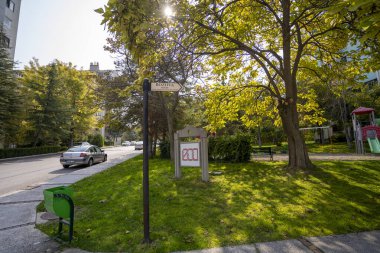 Güneşli bir günde yeşil ağaçların, çalıların ve arabanın olduğu şehir parkı manzarası. Kentsel ve modern kentsel çevre kavramı 