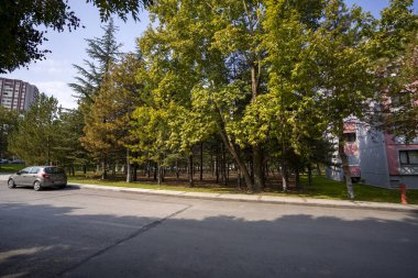 Bölgenin içinde güzel bir bahçe var.