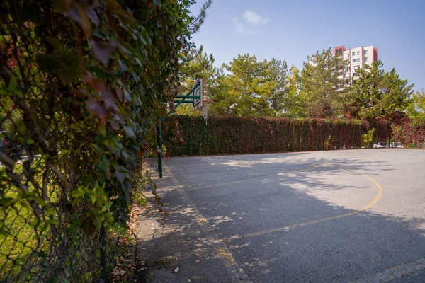 Dışarıda boş basketbol sahası var.
