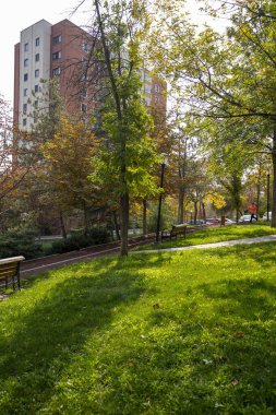 Parkta yürüyüş yolu