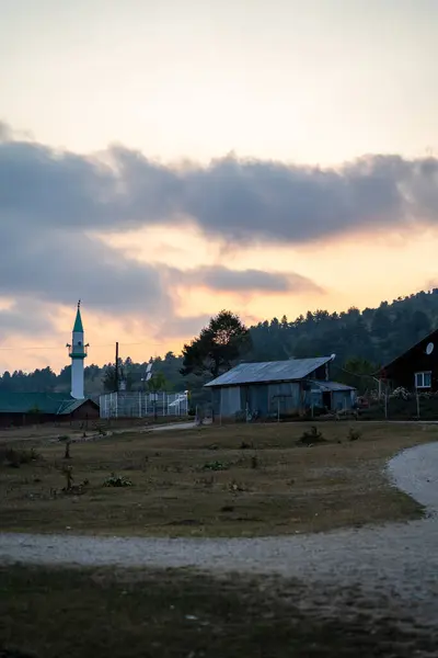 Ağaç köyü evleri toprak yolun sonunda görünen ağaçların arasında.
