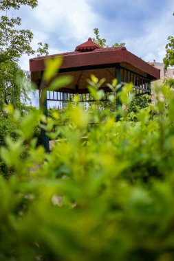 Parktaki yeşilliklerin arasında boş bir çardak