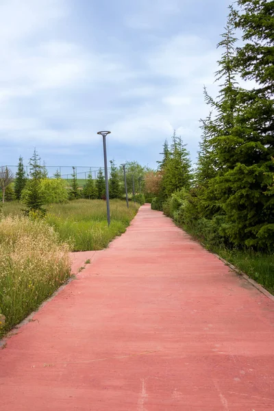 Parkta boş ve yeşil kırmızı yürüyüş yolu