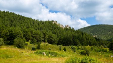 Dağ manzarası, güzel manzara.