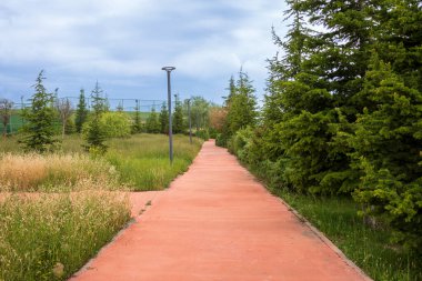 Parktaki güzel patika