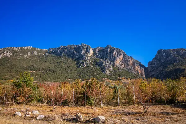 Dağları ve mavi gökyüzü olan güzel bir manzara.
