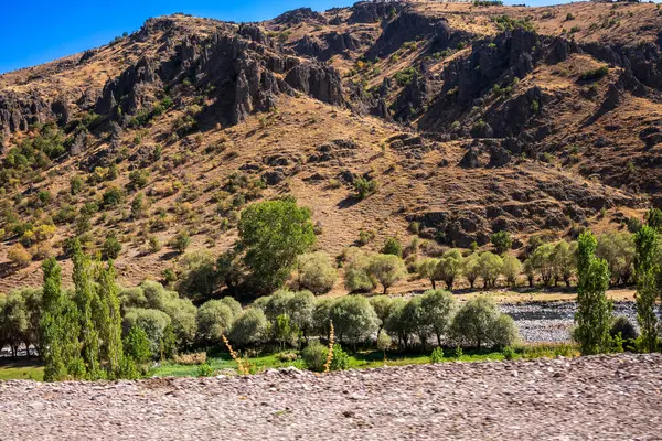 Yaz gününde dağ nehrinin güzel manzarası.