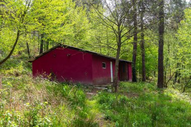 Kırsal kesimde terk edilmiş kızıl orman evi.