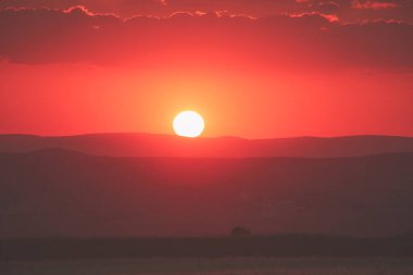 Yaz tarlasında kırmızı gün batımı