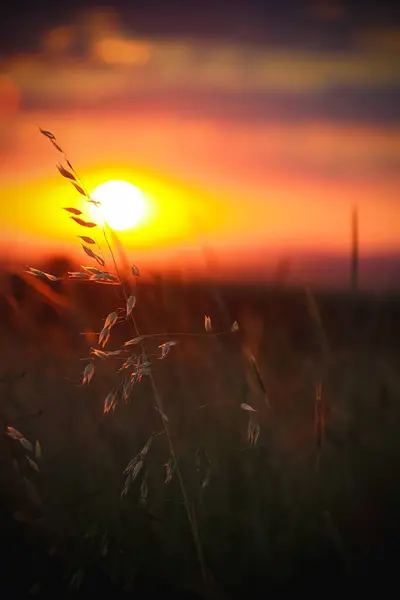 Akşamları güzel gün batımı