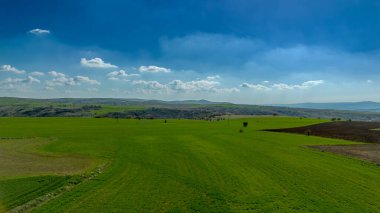 Yeşil alanlar ve mavi gökyüzü