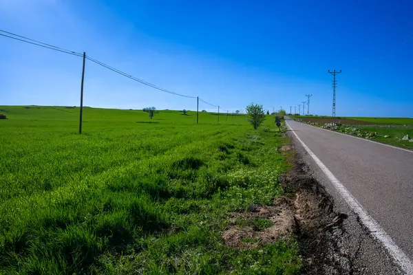 Yeşil tarlalar arasındaki köy yoluna.