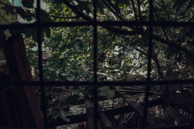 Eski şehrin manzarası.