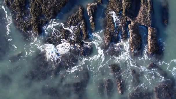 Ακτή Της Σκωτίας Κοντά Στο Κάστρο Dunnottar Άποψη Από Ψηλά — Αρχείο Βίντεο