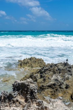 Meksika Cancun, güzel Karayip kıyıları