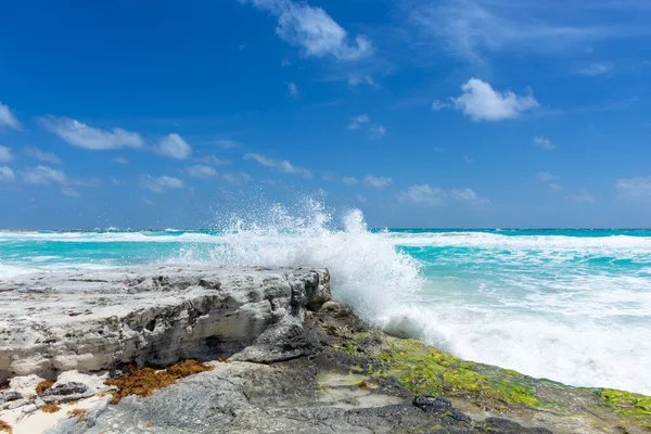 México Cancún Hermosa Costa Caribeña — Foto de Stock