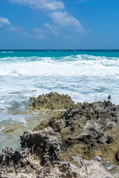 Meksika Cancun, güzel Karayip kıyıları