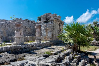 Meksika antik Maya şehri Tulum 'daki Karayipler kıyısında.