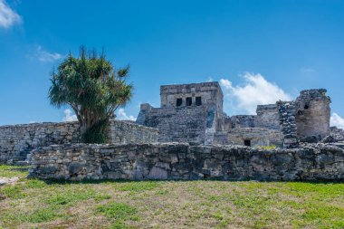 Meksika antik Maya şehri Tulum 'daki Karayipler kıyısında.