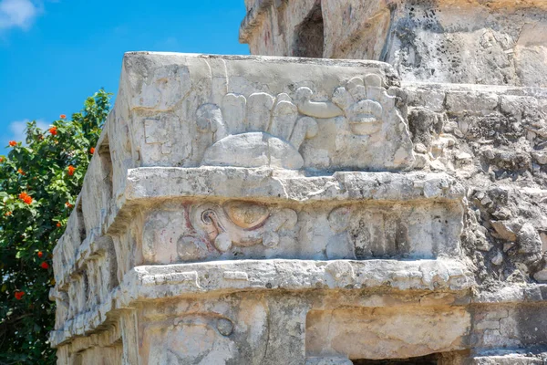 Μεξικό Αρχαία Πόλη Των Μάγια Στην Ακτή Της Καραϊβικής Στο — Φωτογραφία Αρχείου