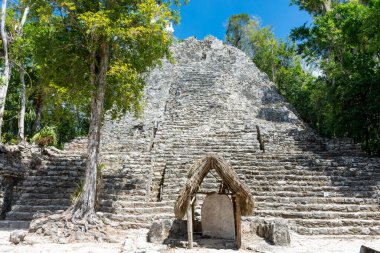 Meksika 'daki Yucatan Yarımadası' ndaki antik Maya şehri Coba 'nın kalıntıları..