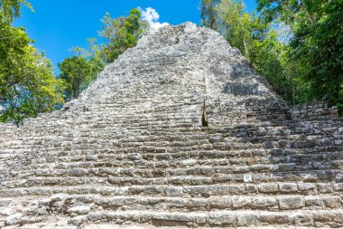 Meksika 'daki Yucatan Yarımadası' ndaki antik Maya şehri Coba 'nın kalıntıları..