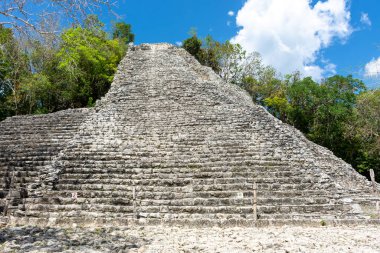 Meksika 'daki Yucatan Yarımadası' ndaki antik Maya şehri Coba 'nın kalıntıları..