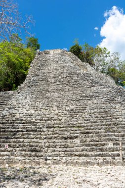 Meksika 'daki Yucatan Yarımadası' ndaki antik Maya şehri Coba 'nın kalıntıları..