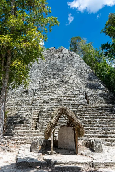 stock image Ruins of the ancient Mayan city of Coba on the Yucatan Peninsula in Mexico.