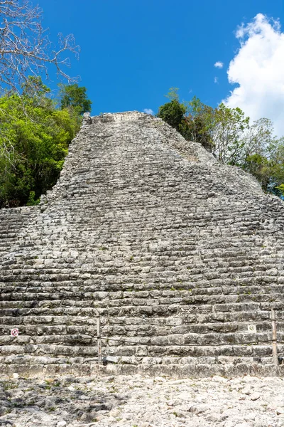Руїни Стародавнього Майянського Міста Коба Півострові Юкатан Мексика — стокове фото
