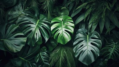 Tropical plant leaves background image, direct view clipart