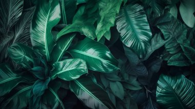 Tropikal bitki arkaplan resmini, doğrudan görünümünü bırakır
