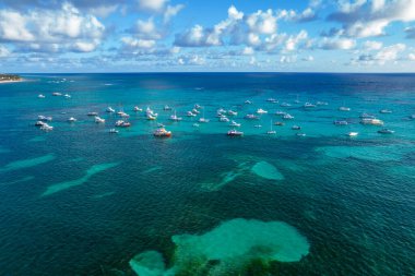 Dominik Cumhuriyeti Punta Cana, turkuaz suyu ve palmiye ağaçları olan güzel Karayip deniz kıyısı.
