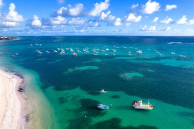 Dominik Cumhuriyeti Punta Cana, turkuaz suyu ve palmiye ağaçları olan güzel Karayip deniz kıyısı.