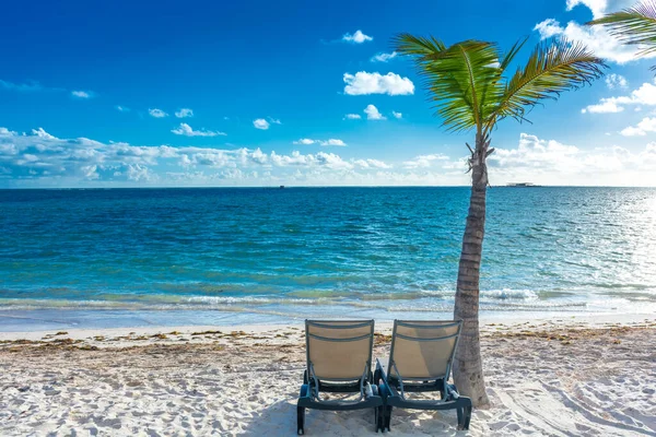 stock image Dominican Republic Punta Cana, beach chairs on the ocean with turquoise water and palm trees