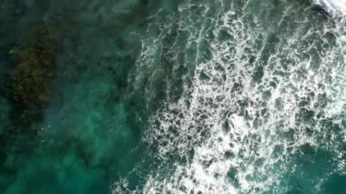 Dominik Cumhuriyeti Punta Cana, güzel Karayip deniz kıyıları turkuvaz suyu ve palmiye ağaçları, üst manzara