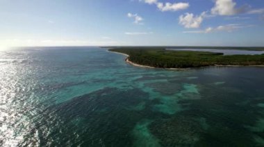 Dominik Cumhuriyeti Punta Cana, güzel Karayip deniz kıyıları turkuvaz suyu ve palmiye ağaçları, üst manzara