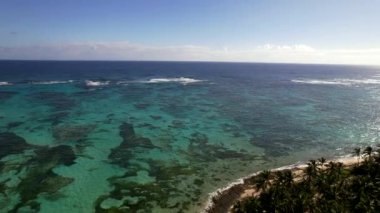 Dominik Cumhuriyeti Punta Cana, güzel Karayip deniz kıyıları turkuvaz suyu ve palmiye ağaçları, üst manzara