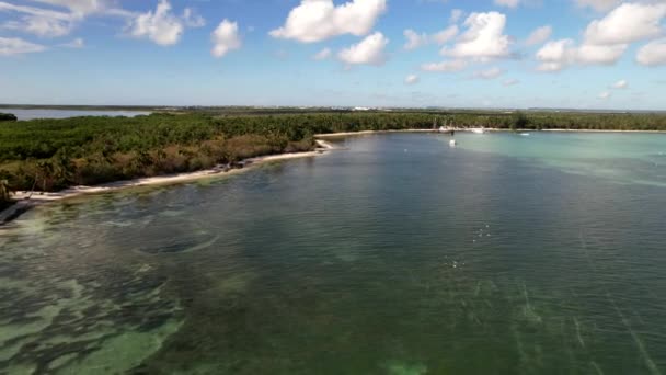 Домініканська Республіка Пунта Кана Гарне Узбережжя Карибського Моря Бірюзовою Водою — стокове відео