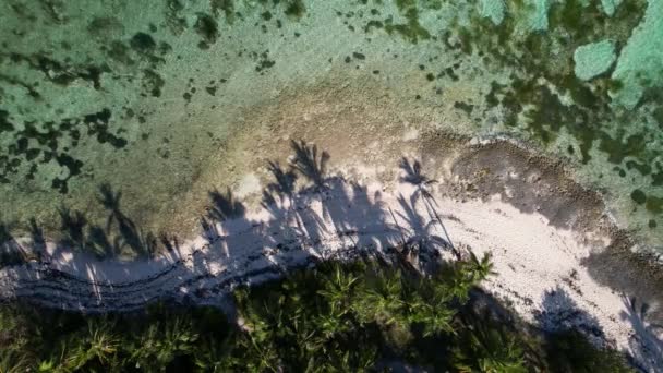 Dominikanska Republiken Punta Cana Vacker Karibiska Havskusten Med Turkost Vatten — Stockvideo