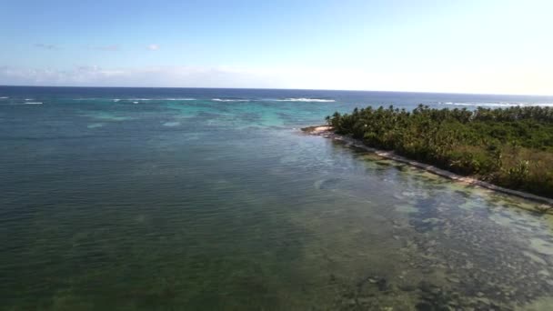 Dominik Cumhuriyeti Punta Cana Güzel Karayip Deniz Kıyıları Turkuvaz Suyu — Stok video