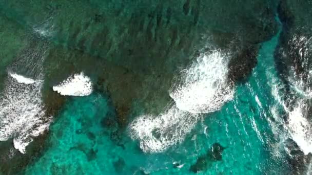 República Dominicana Punta Cana Hermosa Costa Del Mar Caribe Con — Vídeos de Stock