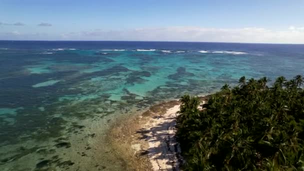 Δομινικανή Δημοκρατία Punta Cana Όμορφη Ακτή Της Καραϊβικής Γαλαζοπράσινα Νερά — Αρχείο Βίντεο
