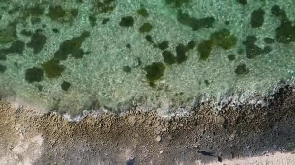 Dominik Cumhuriyeti Punta Cana Güzel Karayip Deniz Kıyıları Turkuvaz Suyu — Stok video